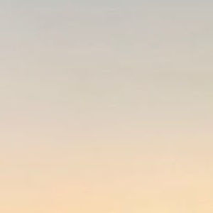 Meet your Posher, Avery